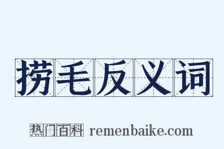 捞毛反义词是什么意思的图片